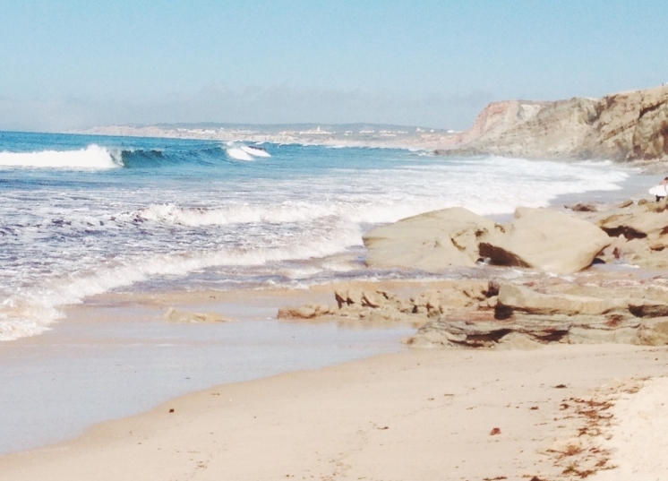 נלחמים על עתיד החופים