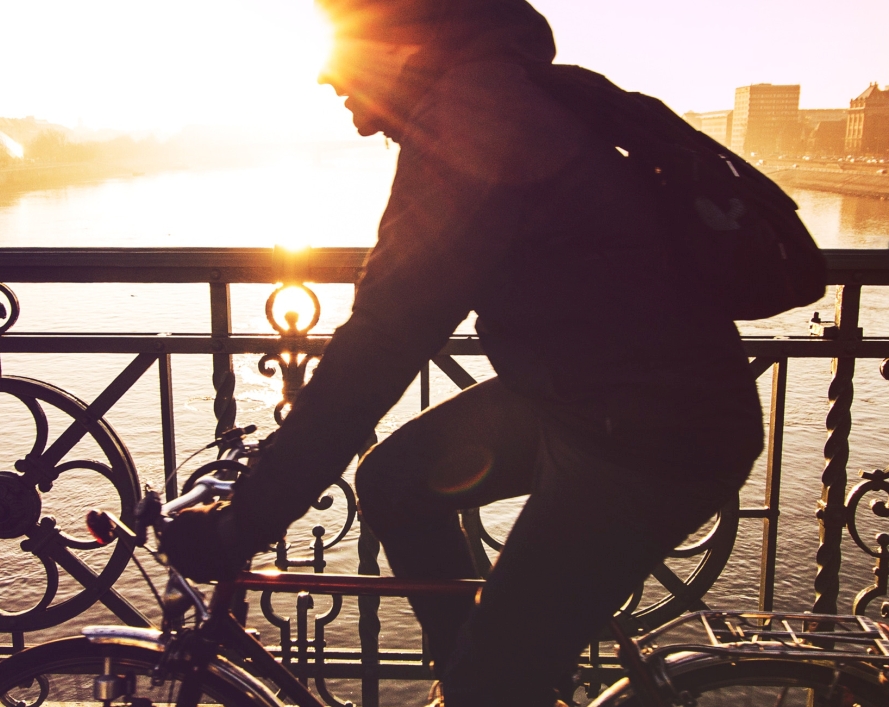 הישרדות בג'ונגל העירוני