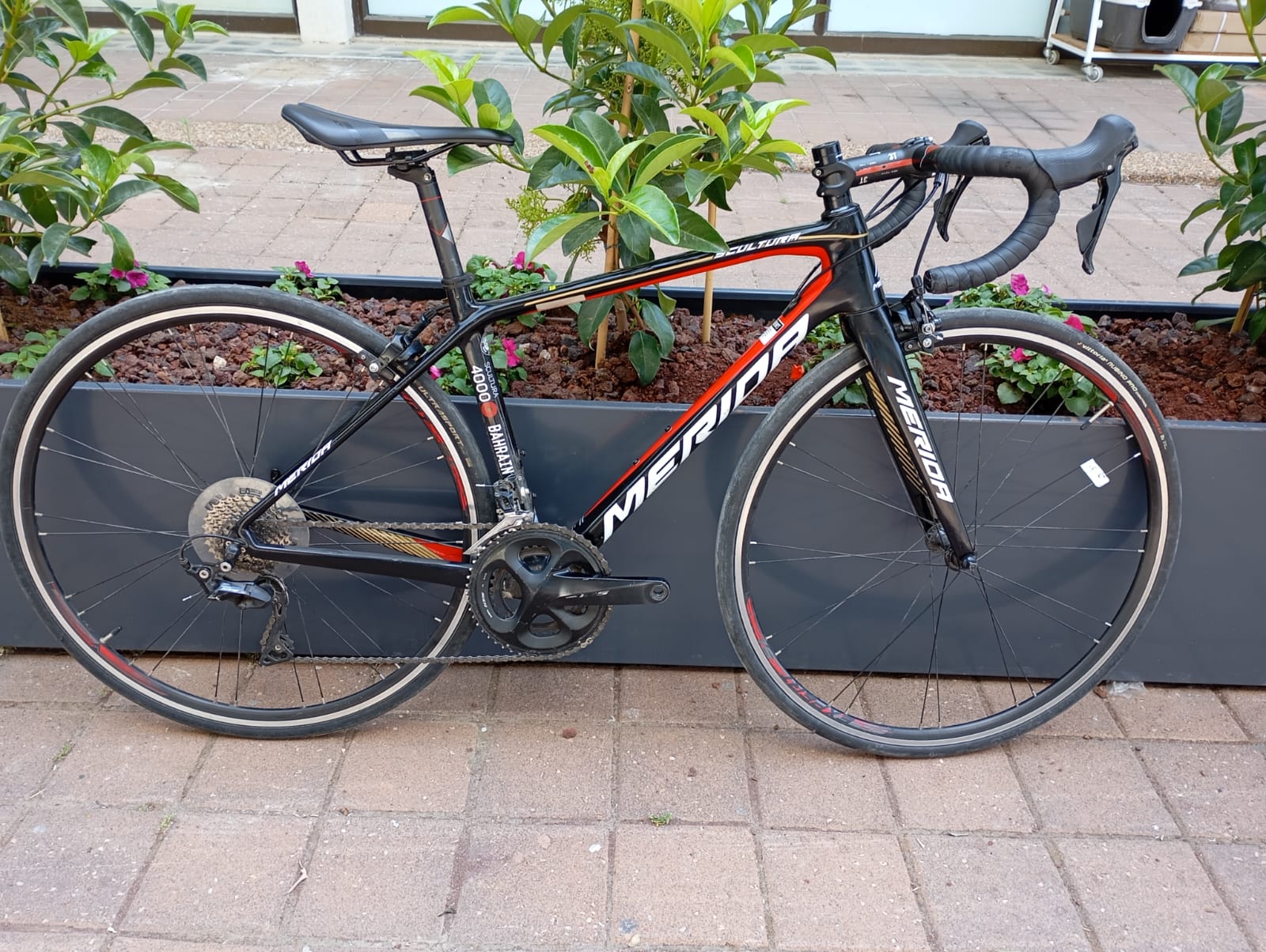 קרבון MERIDA SCULTURA 4000 XXS - סניף פתח תקווה