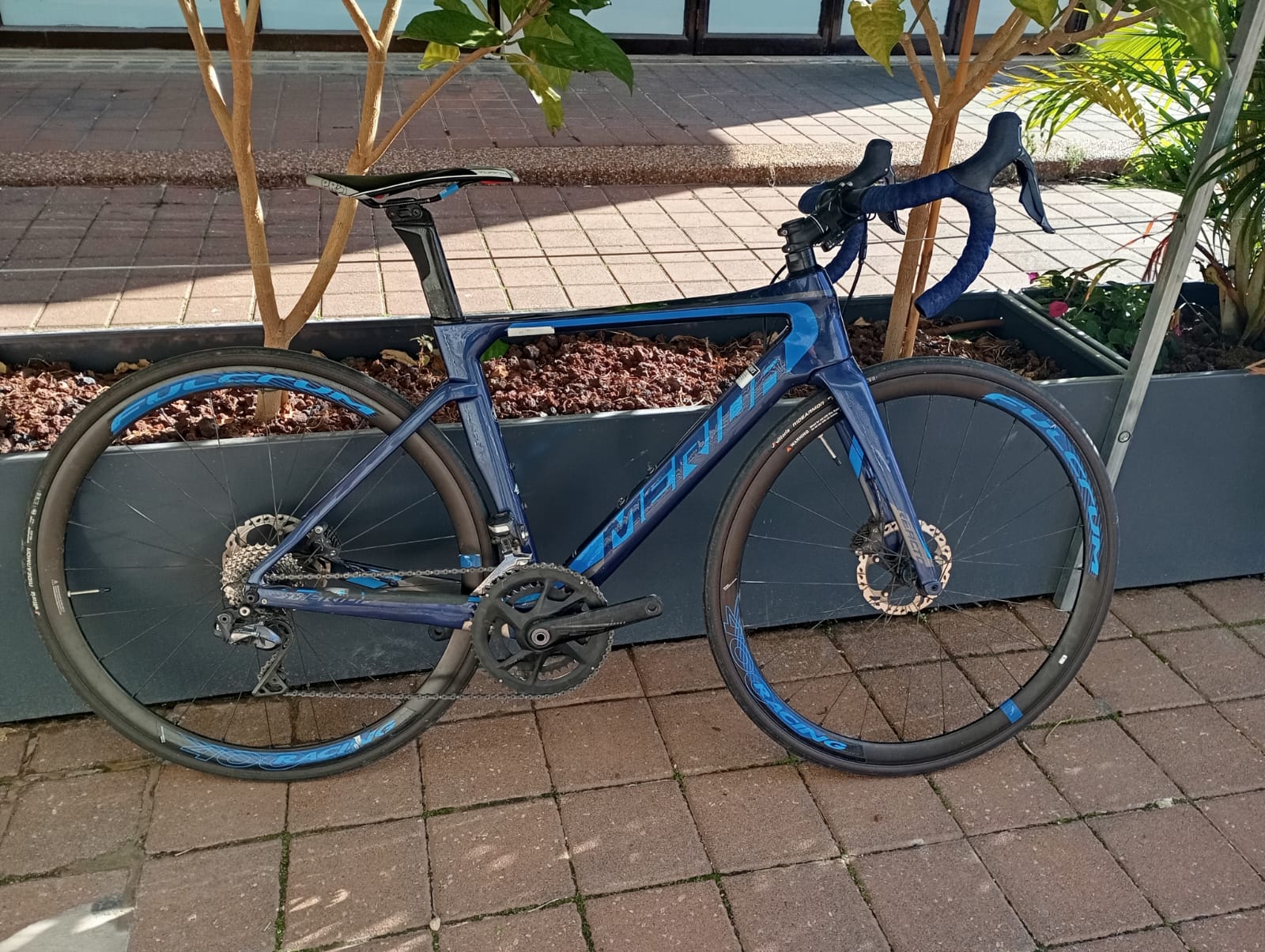 כביש MERIDA REACTO 7000 XS - סניף רעננה