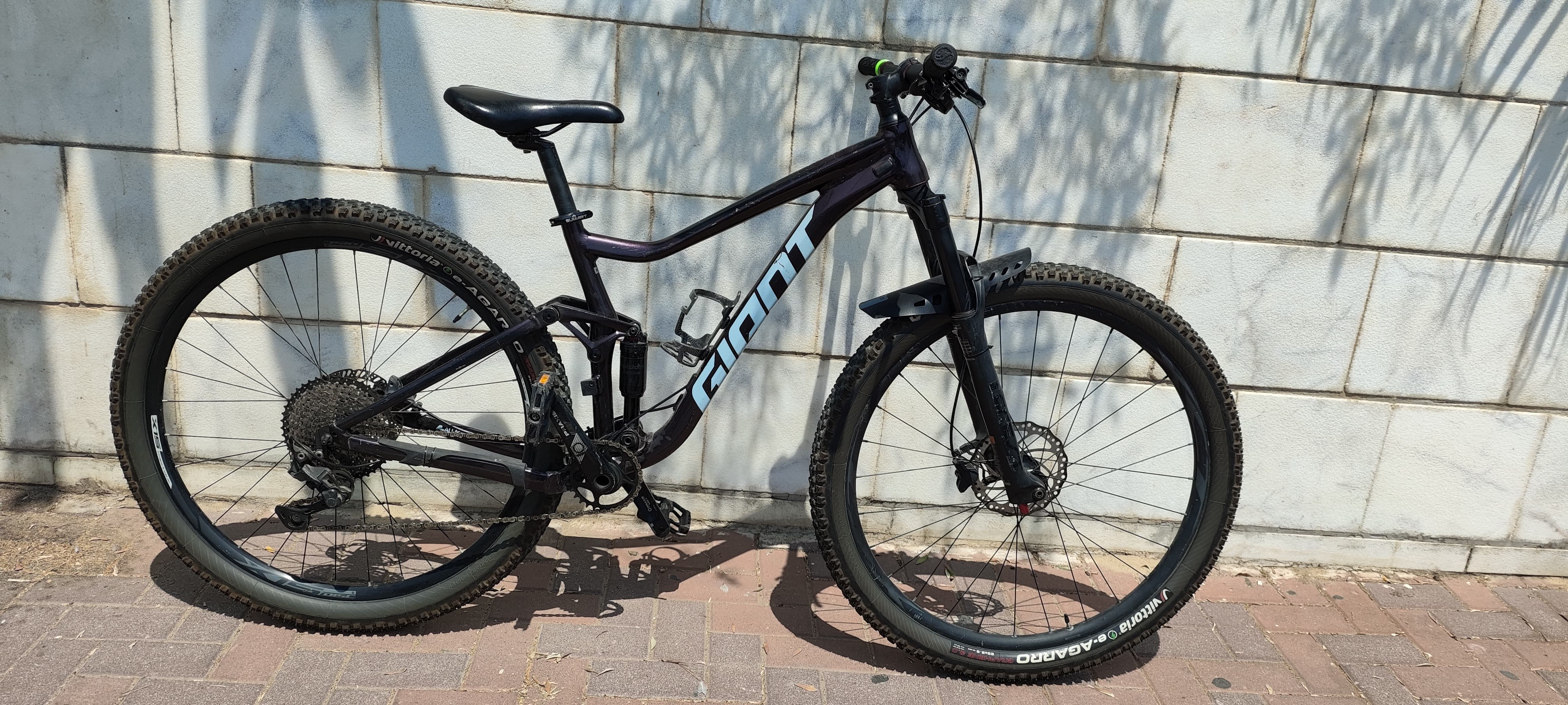 ג'יאנט סטאנס 2021 M - סניף מוצקין