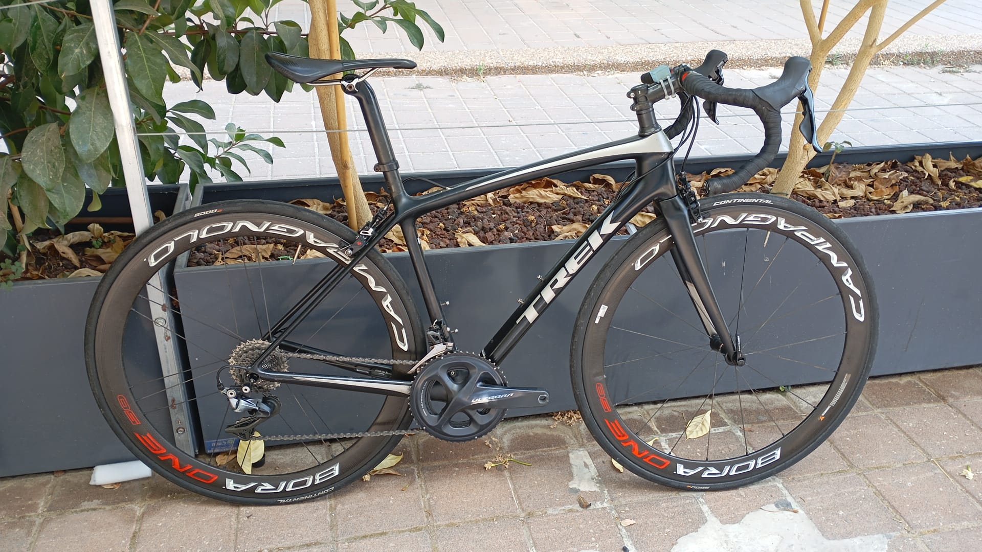 כביש קרבון אמונדה SLR 50 TREK - סניף רעננה 