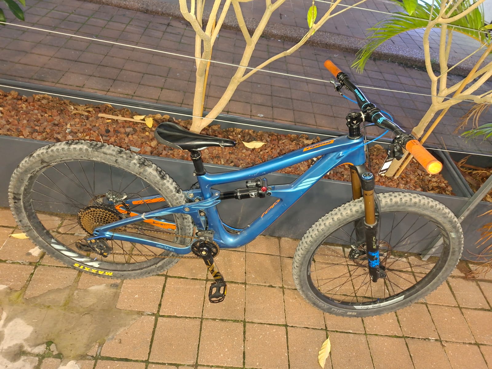 איביס B) ripmo M) - סניף רעננה 