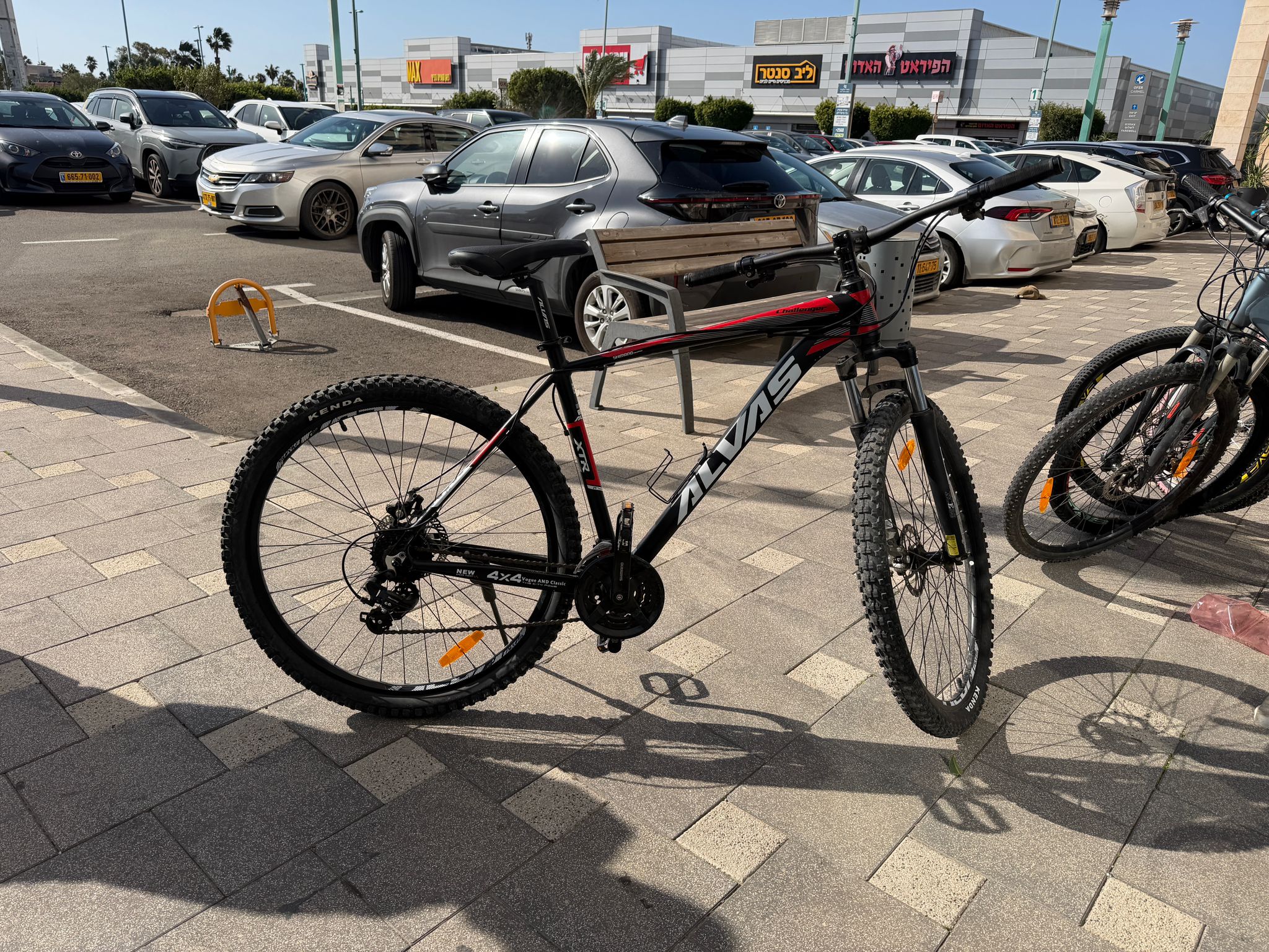 alvas L זנב קשיח - חיפה מת"מ