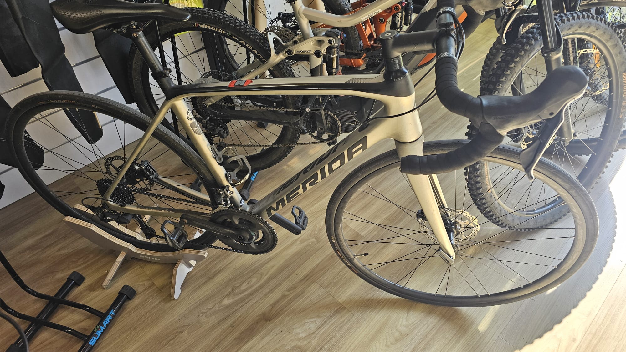 כביש MERIDA SCULTURA 105 S - סניף אשקלון 