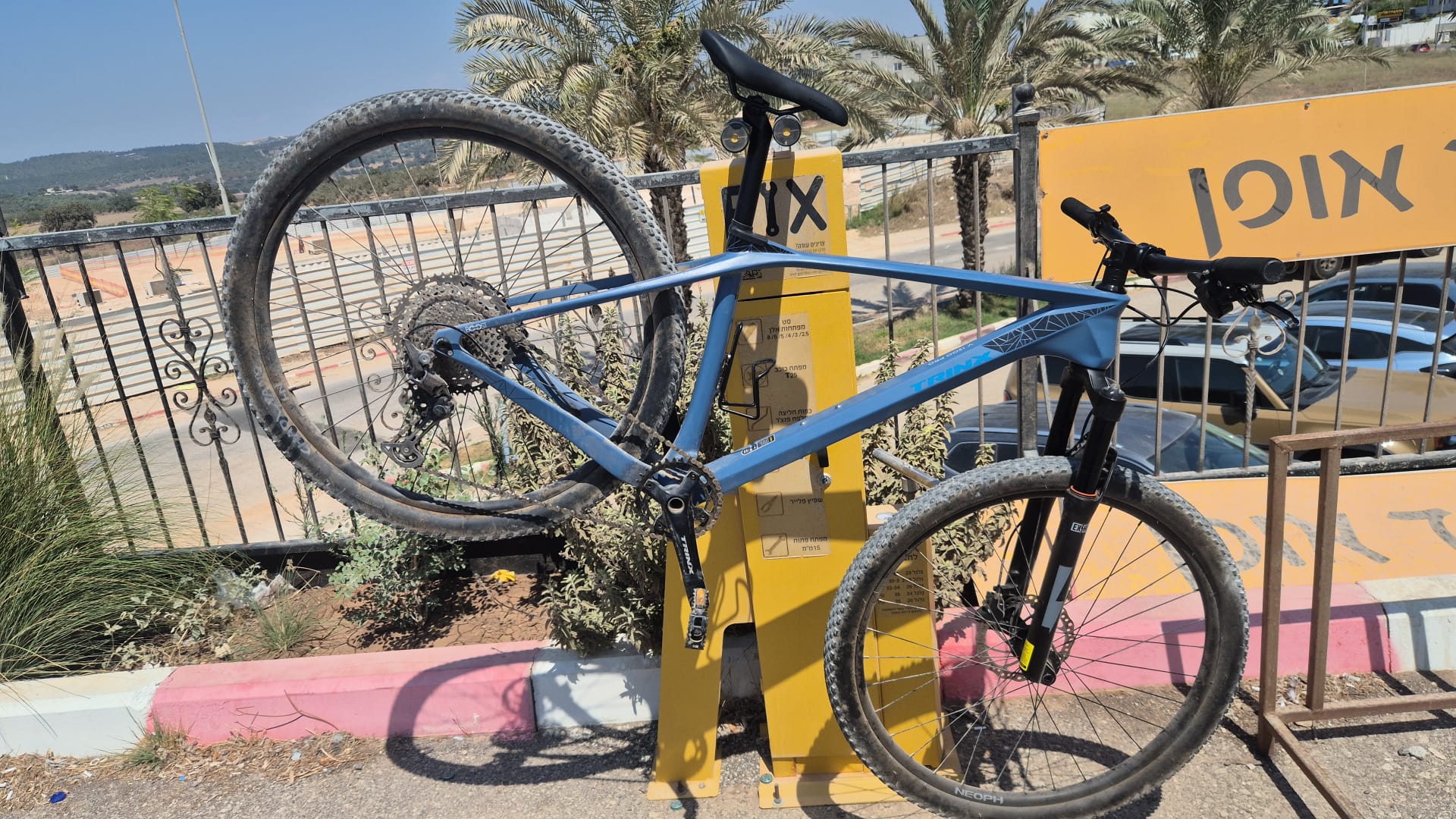 זנב קשיח קרבון מדיום TIMEX   - ספיד אופן