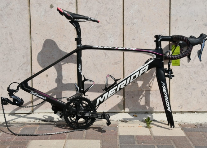 ‎ללא גלגלים ‎למפרה‎ ‎סקולטורה  2016 XS 