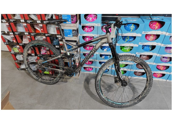 RAINBOW FALCON L - סניף אשדוד עד הלום 