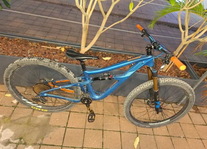 איביס B) ripmo M) - סניף רעננה 