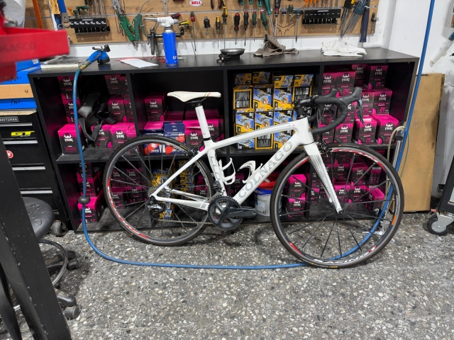 קולנגו CLD TEAM EDITION 48 ULTEGRA DI - סניף אבן יהודה 