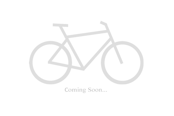 חשמלי מתקפל לעיר 20" RAINBOW GTI - סניף נהריה